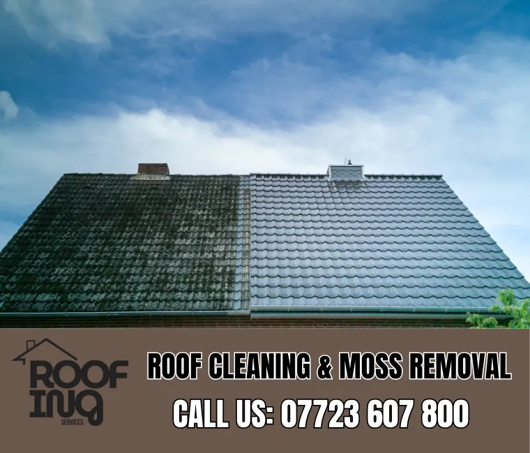 Roof cleaning and moss removal in Bovey Tracey